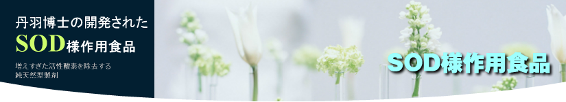 SOD様作用食品