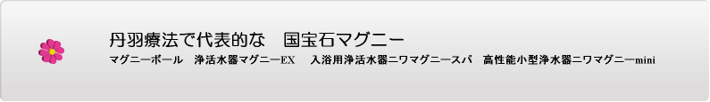 国宝石マグニー