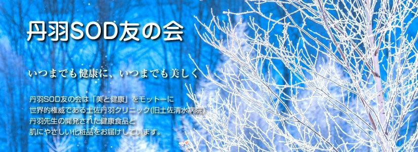 季節のＴＯＰ写真